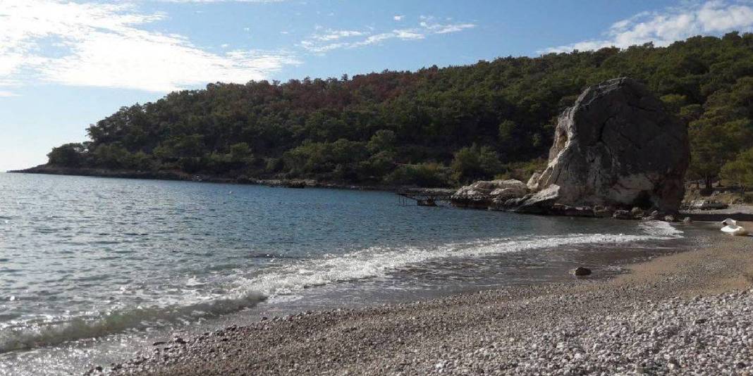 Burayı yerlileri dışında kimse bilmiyor! Sakin, berrak denizli, yeşil ormanlı: Antalya’nın el değmemiş cenneti 5